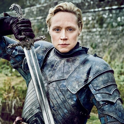Lord Commander Brienne, a Knight of the Seven Kingdoms